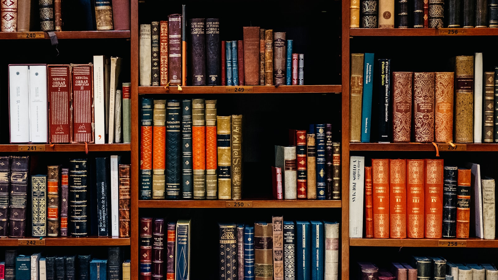 Floor-to-ceiling bookshelves packed with books in a personal library
